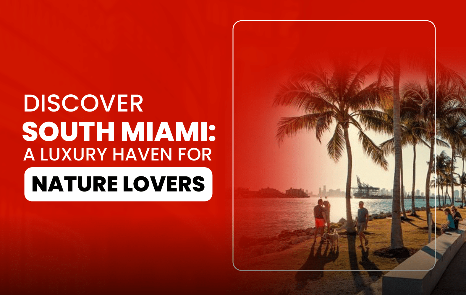 Discover South Miami: A Luxury Retreat for Nature Lovers